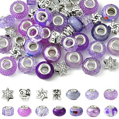Kit de fabrication de perles européennes en alliage et résine de style tibétain&nbsp;DIY-FS0006-78D