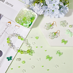 Transparente Acrylperlen im gemischten Stil&nbsp;TACR-SC0001-27B