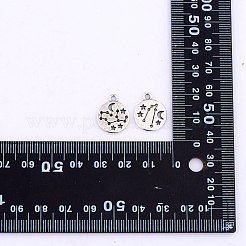 84 Stück Sternzeichen-Charm-Anhänger&nbsp;JX557A