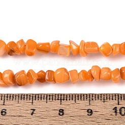 Natürlichen Süßwasser-Muschelperlen Stränge&nbsp;SHEL-N037-04F