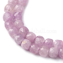 Naturperlen Stränge kunzite&nbsp;G-P587-C01-01