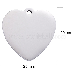 Pendentifs en acier inoxydable 304 résistant au ternissement&nbsp;STAS-I140-06S