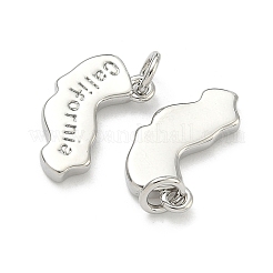 Pendentifs en laiton&nbsp;KK-D229-22W-P