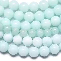 Chapelets de perles en jade de malaisie naturelle&nbsp;G-L645-A01-4mm-31