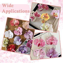 20 Stück künstliche Phalaenopsis-Blume aus Seidenstoff&nbsp;AJEW-SP0003-55A