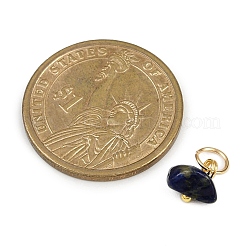 40 stücke 8 arten natürliche rose quarz & amethyst & lapis lazuli & amazonit & achat & aventurin & sonnenstein & topas jade chip charms&nbsp;PALLOY-JF04211-02