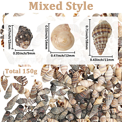 150 g 5 Stile natürliche gemischte Muschelperlen&nbsp;SSHEL-SC0001-50