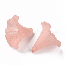 Perles en acrylique transparente&nbsp;BSF796-C11