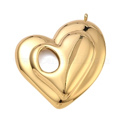 Grands pendentifs en acier inoxydable 304&nbsp;STAS-Z192-06G