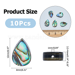10 Stück Abalone-Muschel/Paua-Muschelperlen&nbsp;SSHEL-FI0001-01