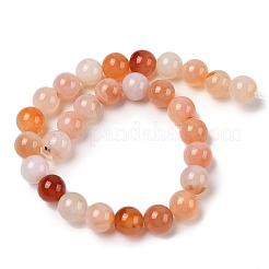 Fili di perline agata rosso naturale&nbsp;G-A248-A06-06