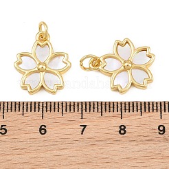 Ottone con pendenti a forma di conchiglia bianca&nbsp;CU-CBA9482-04G-03