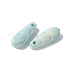 Natürlicher Regenbogen-Alashan-Achat-Anhänger&nbsp;G-G194-05