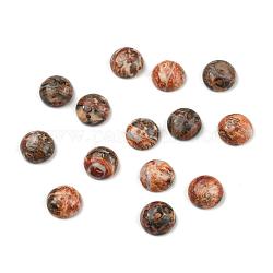 Cabochons en pierres gemmes, demi-rond / dôme, peau de léopard jaspe, 10x5mm
