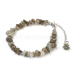 Natural Labradorite Chip Beads Anklets, with Glass Seed Beads, with Brass and Stainless Steel Findings, 8-1/2 inch(21.5cm)