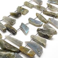 Chapelets de perles en labradorite naturelle , pépites, 11~15x23~66x4.5~11mm, Trou: 1mm, Environ 21~25 pcs/chapelet, 15.7 pouce (40 cm)