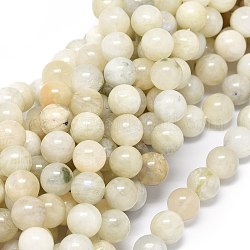 Natural Rainbow Moonstone Beads Strands, Round, 10~10.5mm, Hole: 1mm, about 39pcs/strand, 15.55 inch(39.5cm)