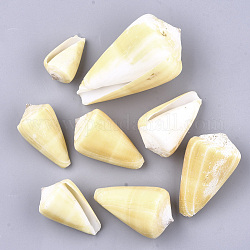 Cuentas de concha espiral, perlas sin perforar / sin orificios, caqui claro, 40~86x24~50x23~46mm