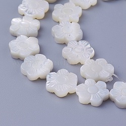 Perlas de concha hebras, flor, 11~11.5x10.2~10.7x2.8~3.1mm, agujero: 0.7 mm, aproximamente 35 pcs / cadena, 16 pulgada (40 cm)