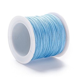 Braided Nylon Thread, DIY Material for Jewelry Making, Light Sky Blue, 0.8mm, 100yards/roll