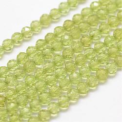 Chapelets de perles en péridot naturel, facette, ronde, 3mm, Trou: 0.5~0.6mm, Environ 144~151 pcs/chapelet, 15.3~15.7 pouce (39~40 cm)