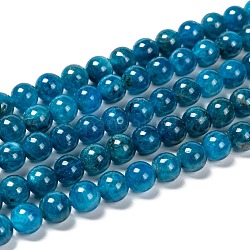 Rondes apatite naturelle perles brins, Grade a, 8mm, Trou: 1mm, Environ 51 pcs/chapelet, 15.7 pouce