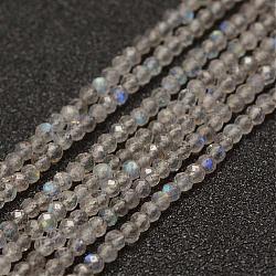 Chapelets de perles en labradorite naturelle , facette, ronde, AA grade, 2mm, Trou: 0.5mm, Environ 155~160 pcs/chapelet, 15.3 pouce (38~39 cm)