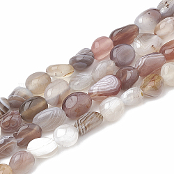 Chapelets de perles en agate naturelle du Botswana, ovale, 8~15x8~10x4~10mm, Trou: 1mm, Environ 36~42 pcs/chapelet, 15.7 pouce