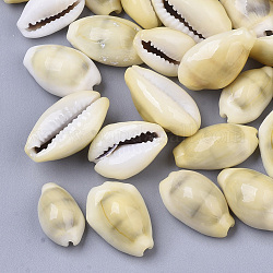 Perles de coquillage cauri naturelles, pas de trous / non percés, kaki clair, 12.5~19x8~12x6~9mm, environ 700 pcs/500 g