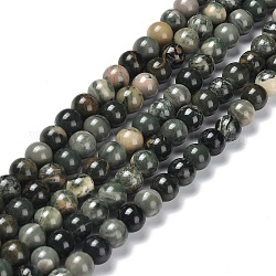 Chapelets de perles en pierre en bois naturel, ronde, 8~8.5mm, Trou: 0.8~0.9mm, Environ 45~46 pcs/chapelet, 14.80''~15.35'' (37.6~39 cm)