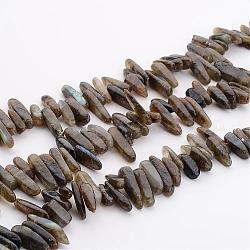 Natural Labradorite Chips Beads Strands, 12~22x5~7mm, Hole: 1mm