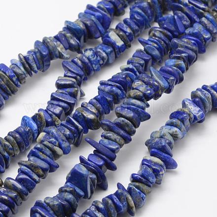 Natural Lapis Lazuli Beads Strands G-F521-18-1