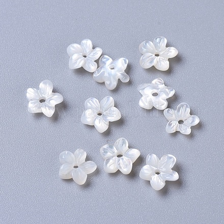 Perlas de concha de nácar de concha blanca natural BSHE-L043-15-1