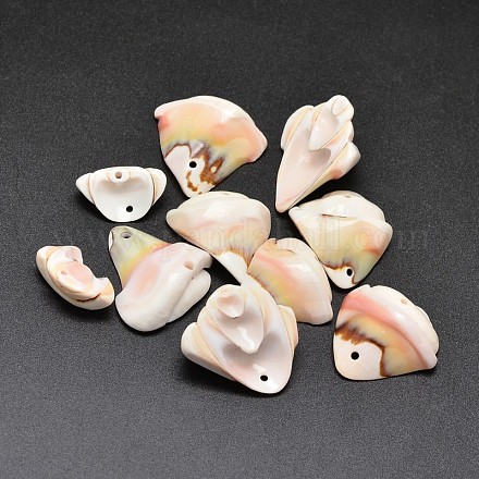 Natural Shell Nuggets Beads BSHE-O007-75-1