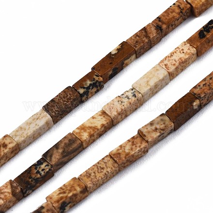 Natural Picture Jasper Beads Strands G-S299-144-1