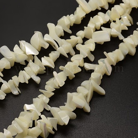Puce spirale naturelle perles de coquillage brins X-SHEL-E355-04-1