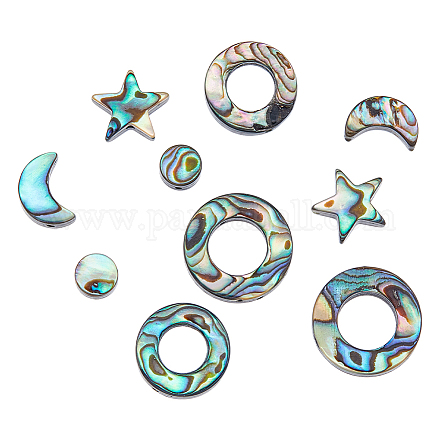 Dicosmétique 12 pièces 6 styles coquille d'ormeau naturel/perles de coquille de paua SSHEL-DC0001-01-1