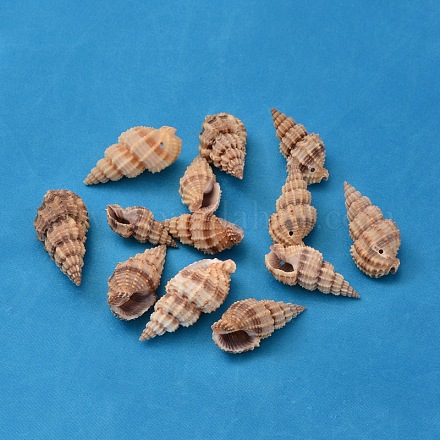 Perles de coquillage en spirale naturelle BSHE-S059-1