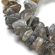 Labradorite naturelle brins puce de perles G-M205-13-5