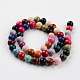 Dyed Natural Fossil Beads Strands G-E328-8mm-M-3