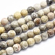 Natural Fossil Coral Beads Strands G-K256-11-6mm-1