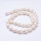 Natural Cultured Freshwater Pearl Beads Strands PEAR-P002-13-01-2