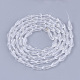 Transparent Glass Beads Strands GLAA-T009-004H-2