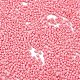 Выпечка краска стеклянные бусины X-SEED-S042-05B-86-3