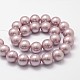 Rainbow Plated Shell Pearl Bead Strands BSHE-L025-6mm-M-3