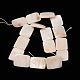 Natural Shell Beads Strands PBB-XXBK033Y-13-2