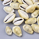 Perles de coquillage cauri naturelles SSHEL-N034-C-26-1