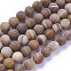 Chapelets de perles en bois pétrifié naturel G-P430-04-C-2