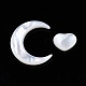 Set di perline di conchiglia bianca naturale SSHEL-N032-52B-02-2