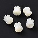 Perle trochid naturali / conchiglie trochus SHEL-P014-01-2